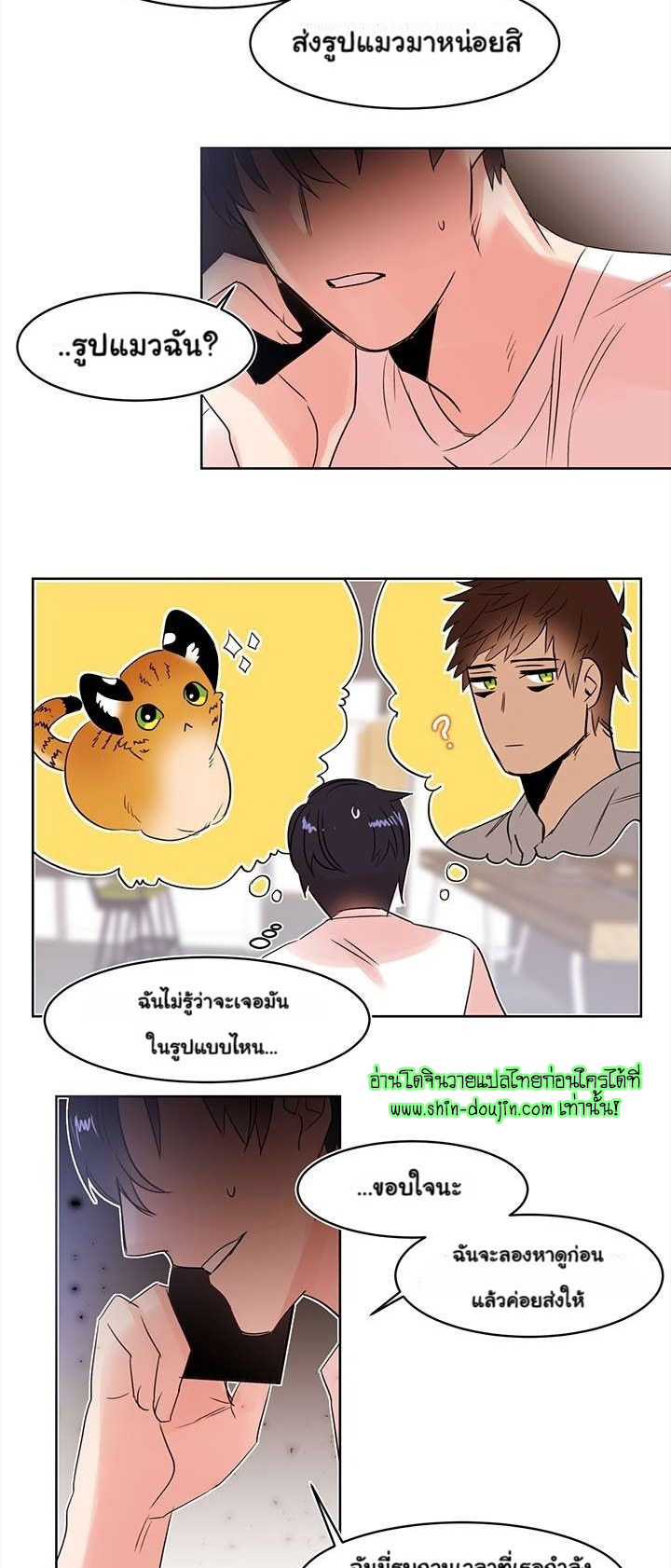 Cat in a Cardboard Box EP 7